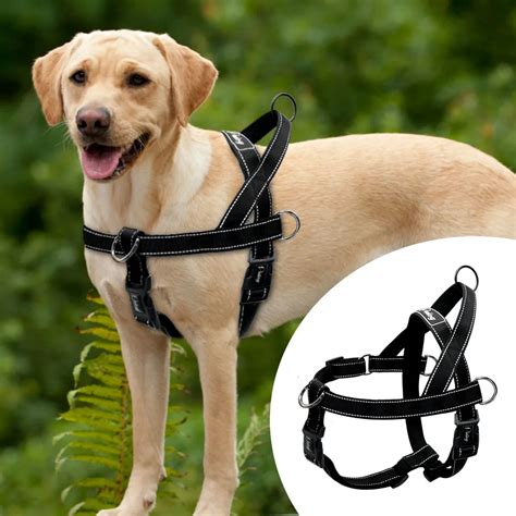 no pull dog harness bunnings